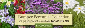 Dobbies Garden Centre catalogue in Belfast | Offer's | 2025-06-03T00:00:00.000Z - 2025-06-20T00:00:00.000Z
