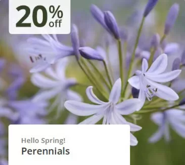 Crocus catalogue in South Oxhey | `20% Off`  | 2026-04-03T00:00:00.000Z - 2026-04-20T00:00:00.000Z