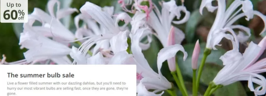 Crocus catalogue in South Oxhey | Up To 60% Off ` | 2026-04-03T00:00:00.000Z - 2026-04-20T00:00:00.000Z